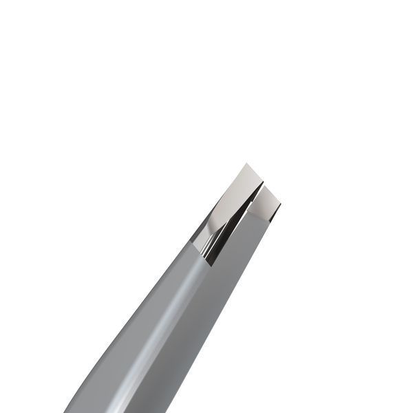 Пінцет STALEKS PRO TE-10-3 TE-10-3 фото