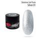 Shimmer Gel Paste PNB 01 silver PNB-5401 фото 1