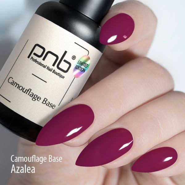 Камуфлююча база PNB, Azalea, 8 мл PNB-1508 фото