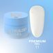 Гель для нарощування Premium Gel №11 / 15ml 323-2590-0513 фото 1