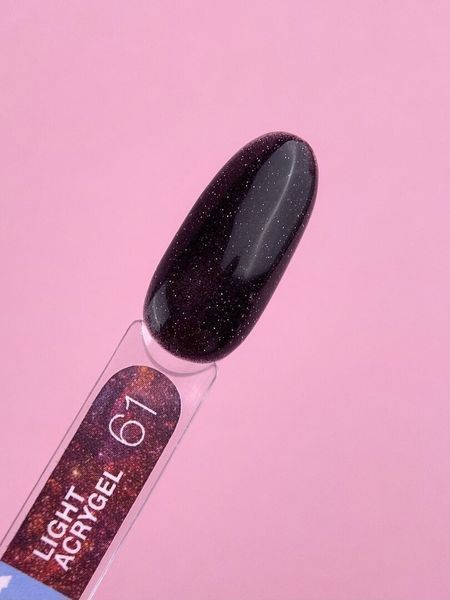 Рідкий Гель Light Acrygel №61 / 13ml 249-2891-0603 фото