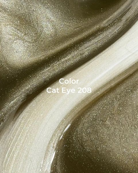 Гель-лак Color Cat Eye №208 / 13ml 047-2832-0582 фото