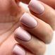 Гель-лак PNB 353/Gel nail polish PNB 353, 8мл PNB-1353 фото 4