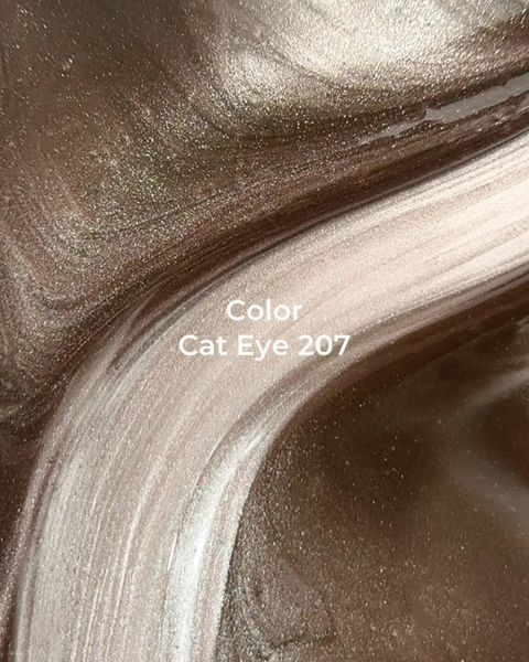 Гель-лак Color Cat Eye №207 / 13ml 047-2831-0581 фото